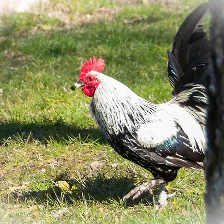 Meislahnhof Apartmán Fehmarn