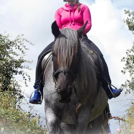 Meislahnhof フェーマルン