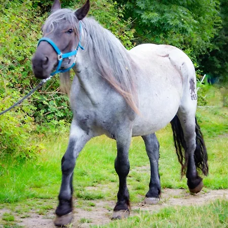 Meislahnhof アパート *