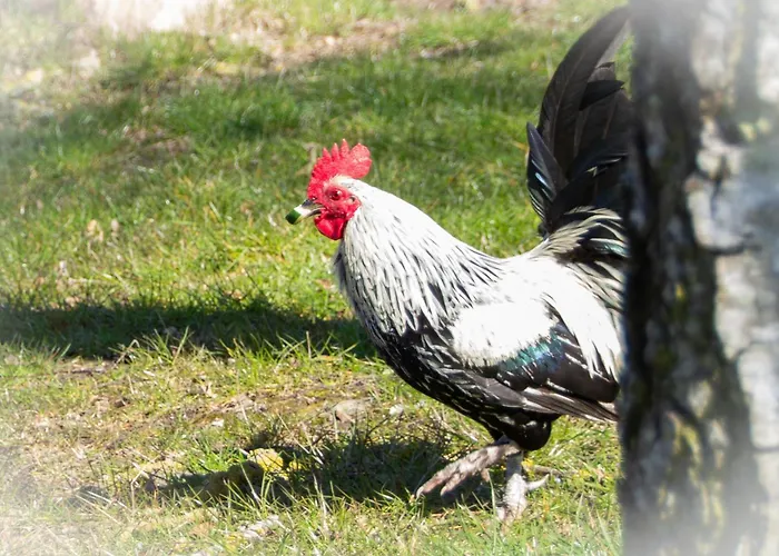 Meislahnhof Apartamento Fehmarn