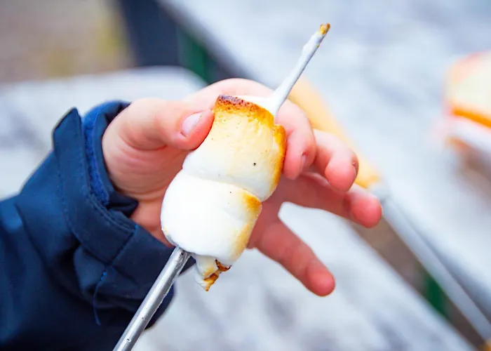 Meislahnhof * Fehmarn